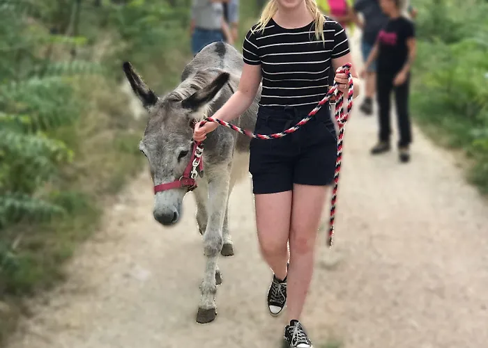 La Paradiso * SantʼEgidio